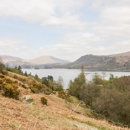 Holly * Keswick (Cumbria)